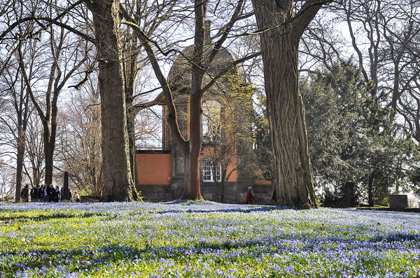 Fruehling2012   065.jpg